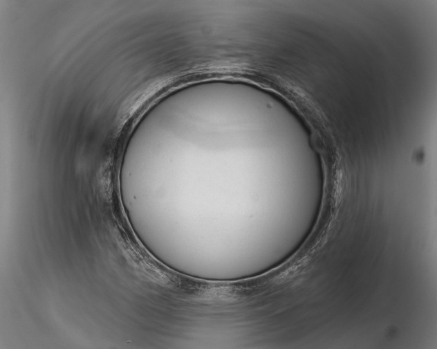 X0000116341162200912151321