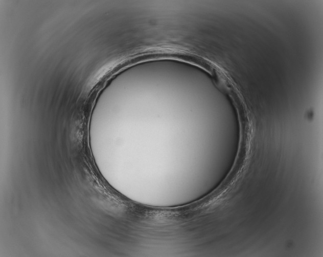 X0000116341163200912151321