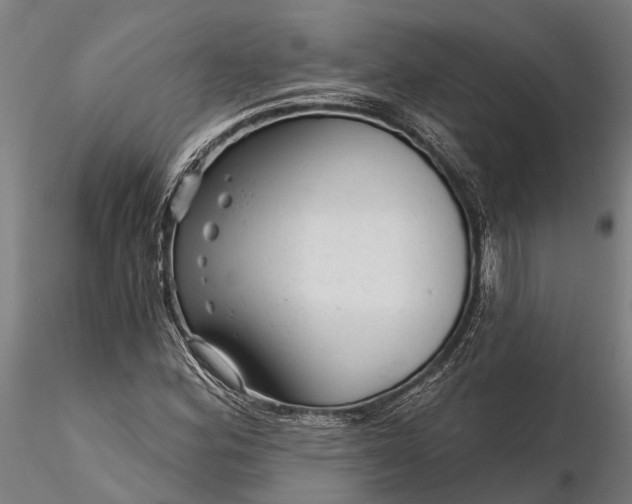 X0000116341164200912151321