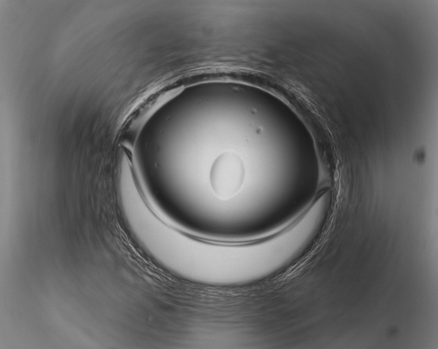 X0000116341165200912151321