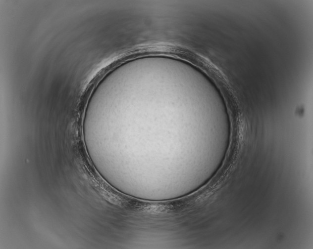 X0000116341166200912151321