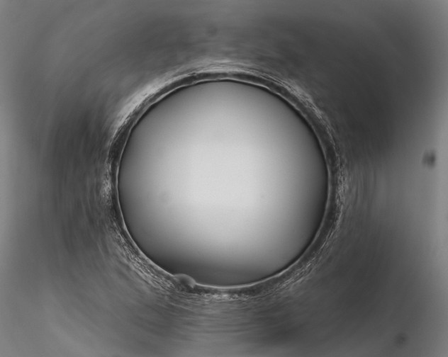 X0000116341167200912151321