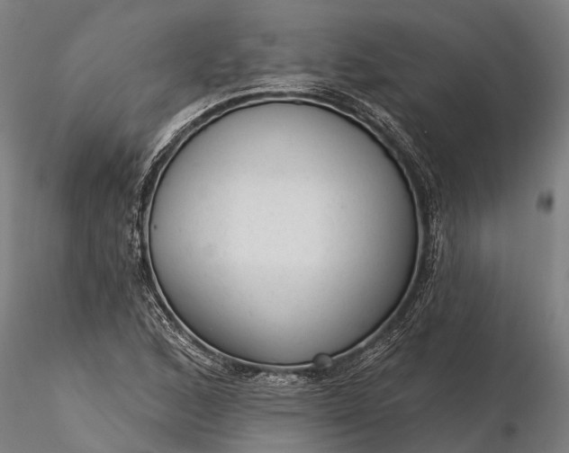 X0000116341168200912151321