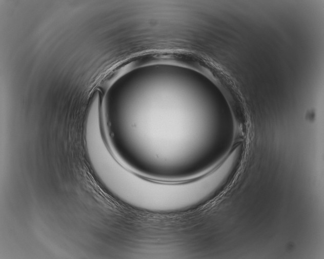 X0000116341169200912151321