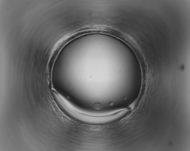 X0000116341172200912151321