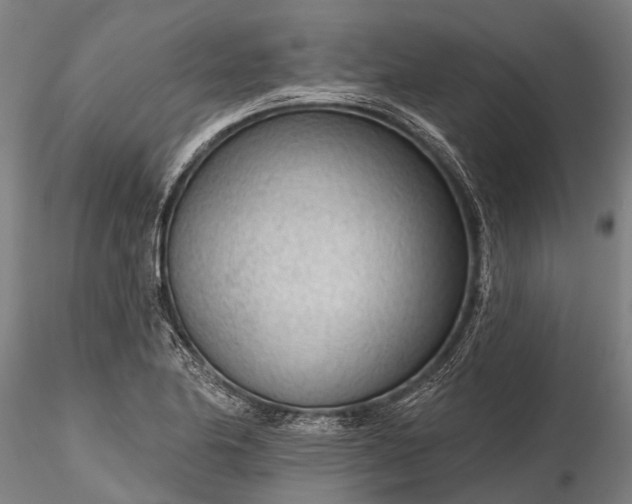 X0000116341174200912151321