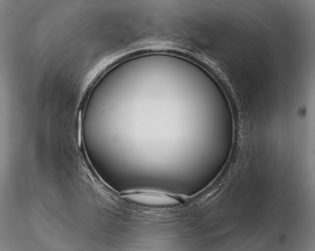 X0000116341175200912151321