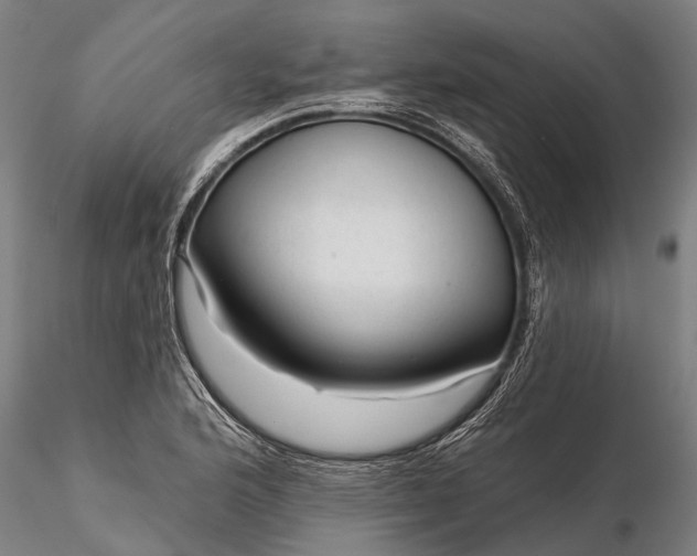 X0000116341176200912151321