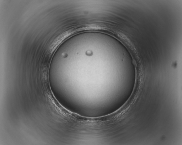 X0000116341177200912151321