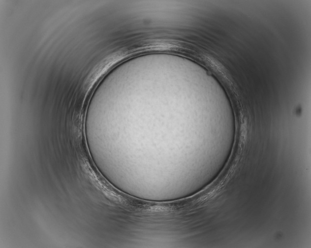 X0000116341178200912151321