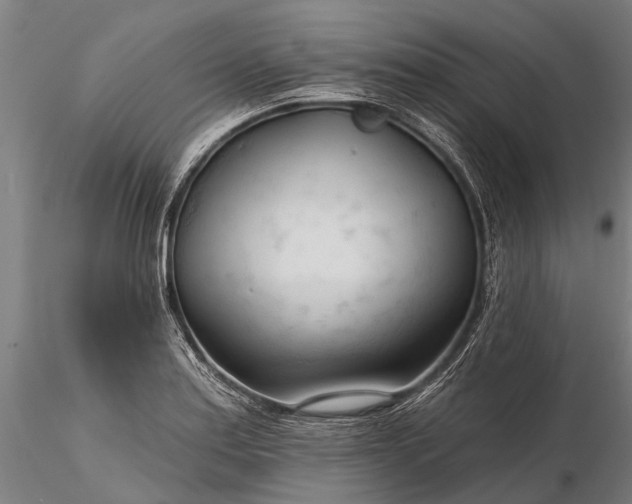 X0000116341179200912151321