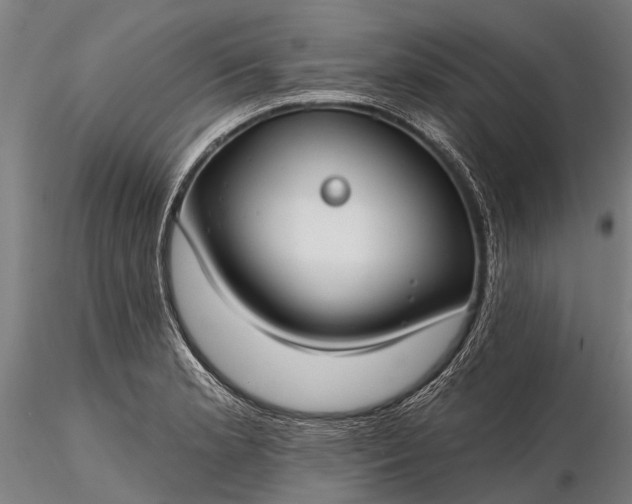 X0000116341181200912151321