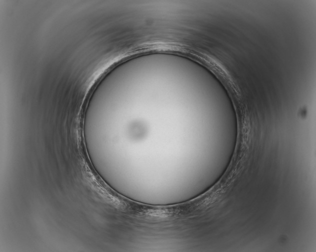 X0000116341182200912151321