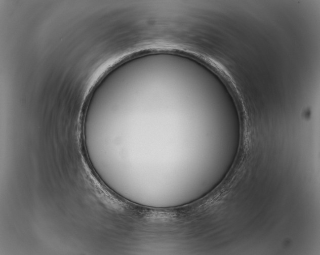 X0000116341183200912151321