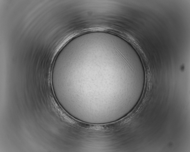 X0000116341186200912151321