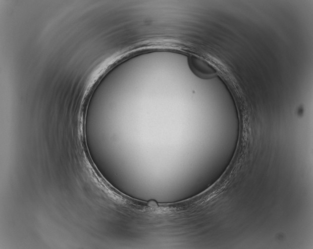 X0000116341188200912151321