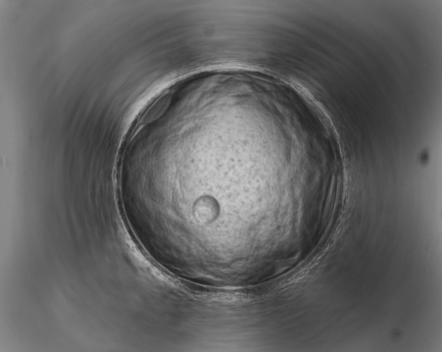 X0000116341189200912151321