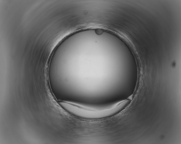 X0000116341190200912151321