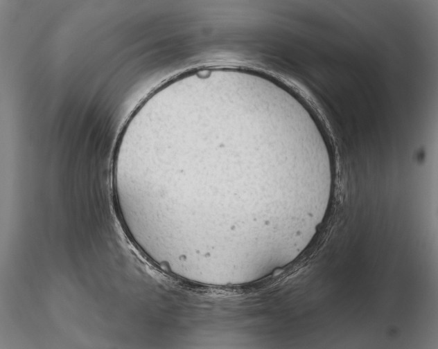 X0000116341191200912151321