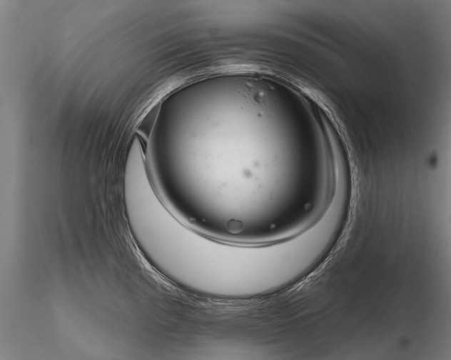 X0000116341193200912151321