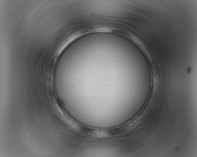 X0000116341194200912151321