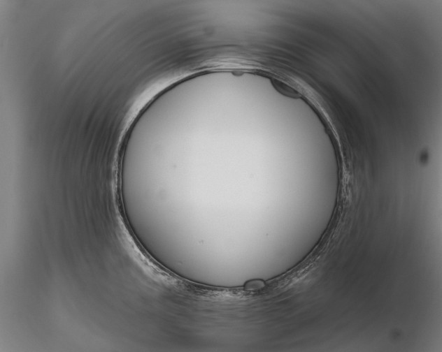 X0000116341195200912151321