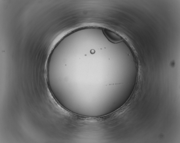 X0000116341199200912151321