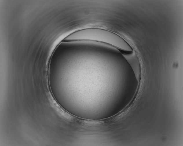 X0000116341200200912151321