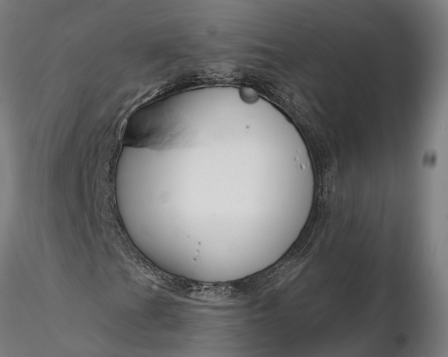 X0000116341201200912151320