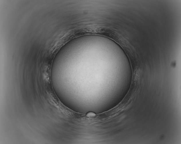 X0000116341202200912151320