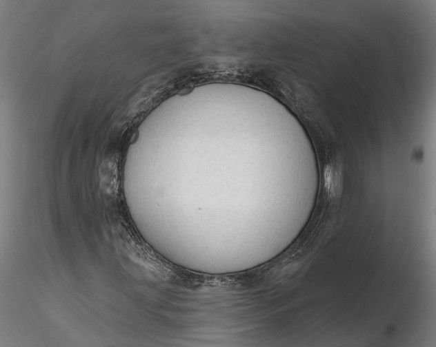 X0000116341203200912151320