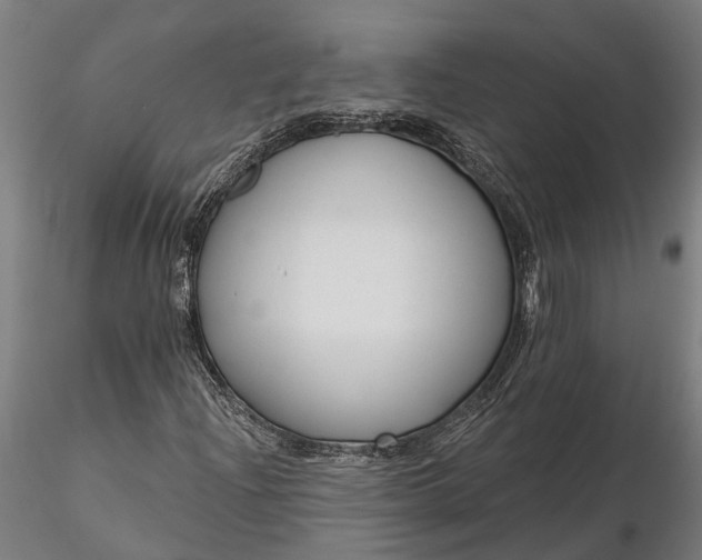 X0000116341204200912151320