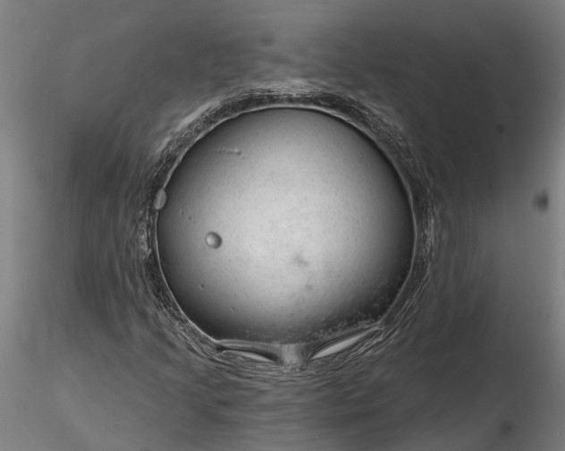 X0000116341205200912151320