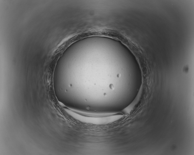 X0000116341206200912151320