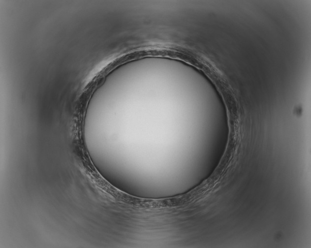 X0000116341208200912151320