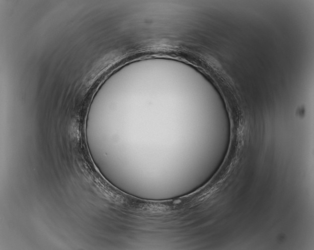 X0000116341209200912151320