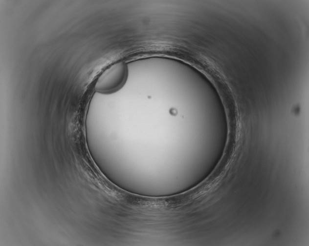 X0000116341210200912151320