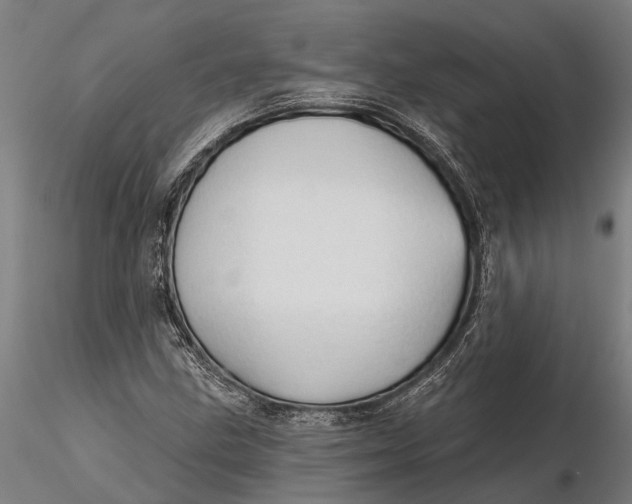 X0000116341211200912151320