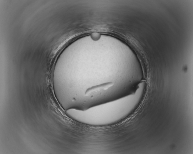 X0000116341212200912151320