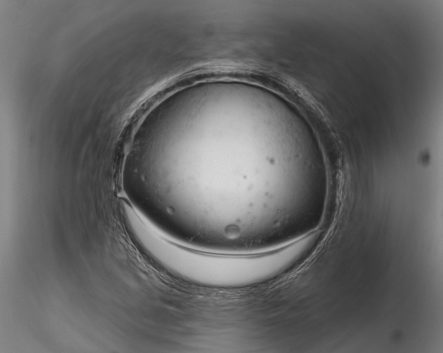 X0000116341213200912151320