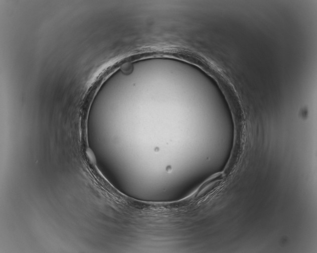 X0000116341214200912151320