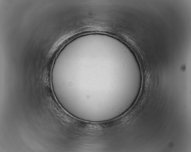 X0000116341215200912151320