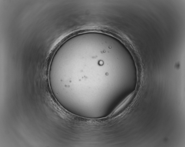 X0000116341216200912151320