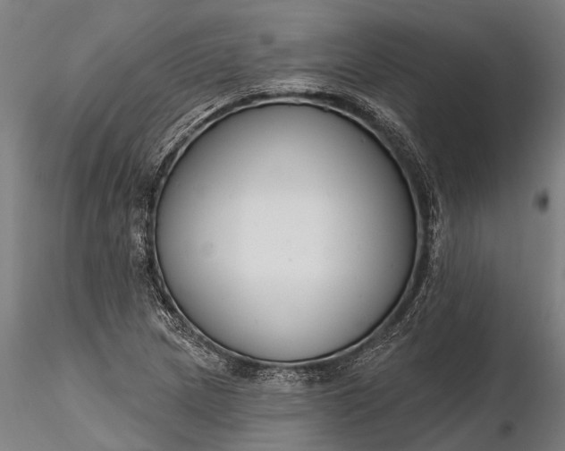 X0000116341217200912151320