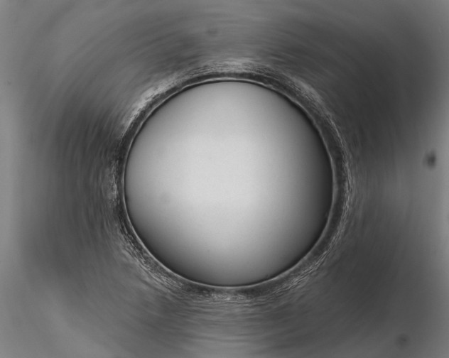 X0000116341218200912151320