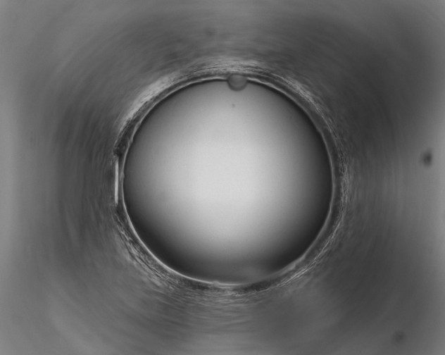 X0000116341219200912151320