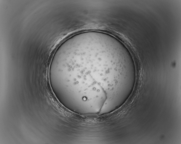 X0000116341220200912151320