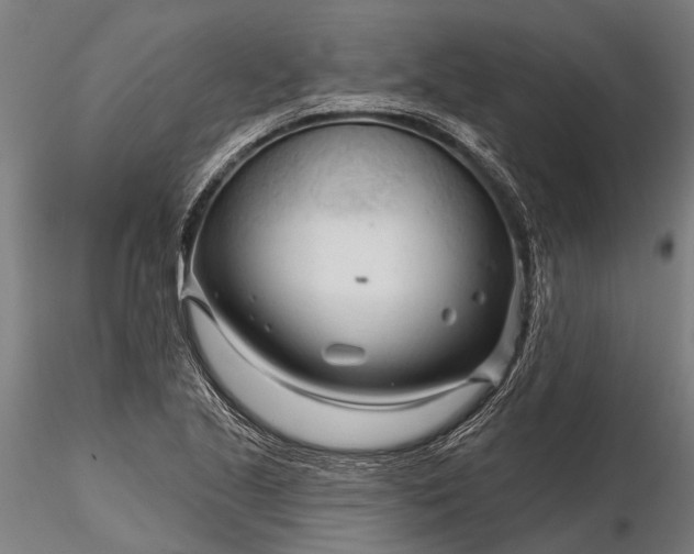 X0000116341221200912151320