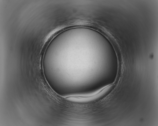 X0000116341222200912151320