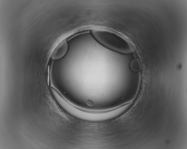 X0000116341223200912151320